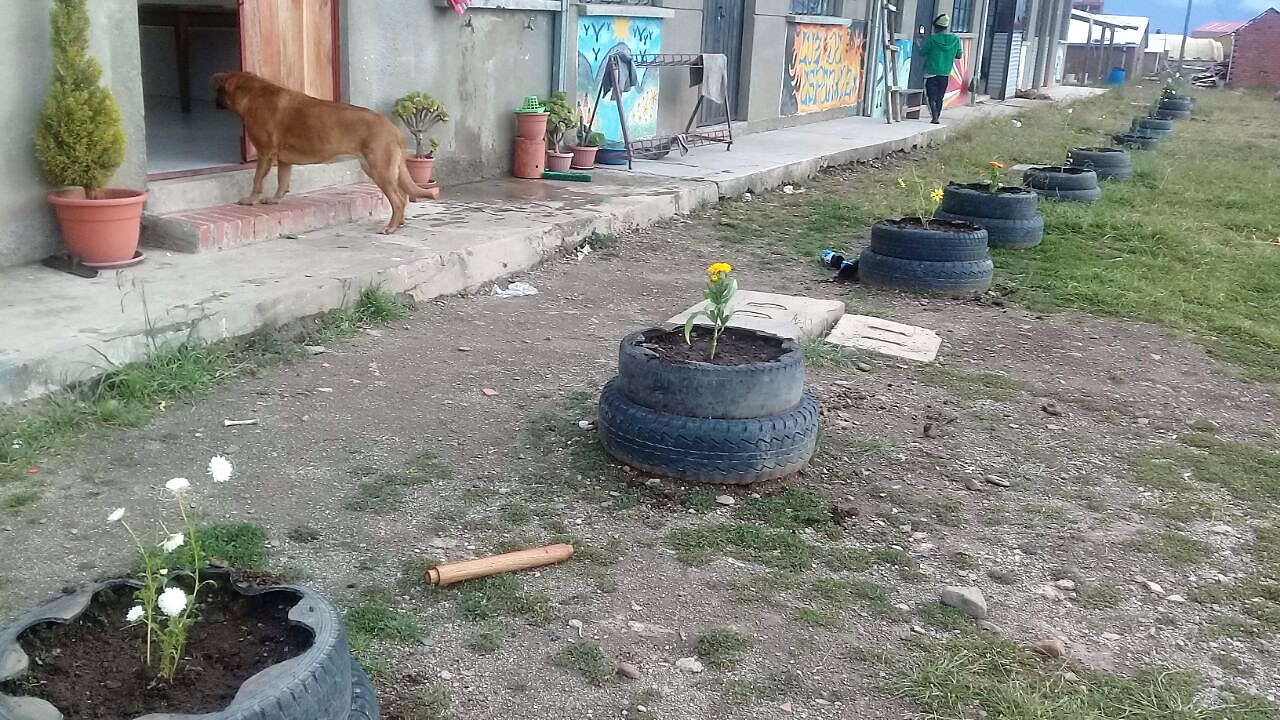 cuidando el medio ambiente.jpg